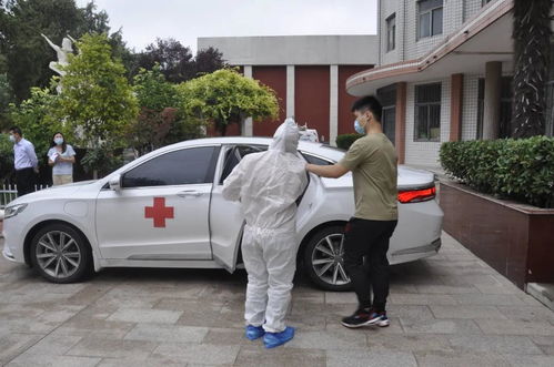 河南濮阳疫情最新动态，防控措施、影响及未来展望