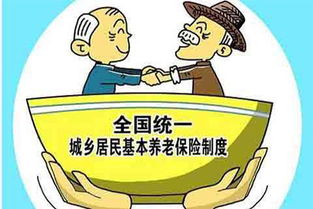 养老保险中断，生活中的暂停键及其深远影响