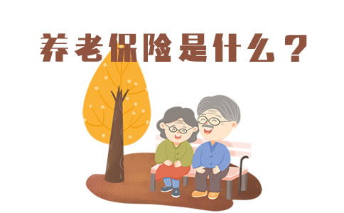 养老保险中断，生活中的暂停键及其深远影响