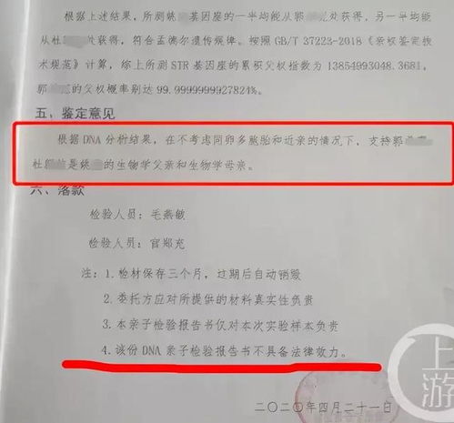 大连亲子鉴定，科学、法律与情感的交织