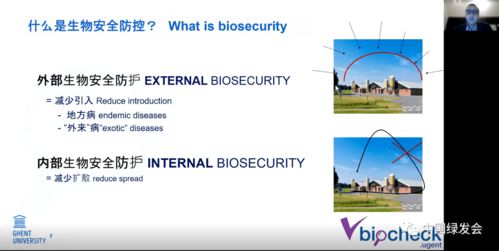 新冠新变种，东南亚大流行下的挑战与应对策略