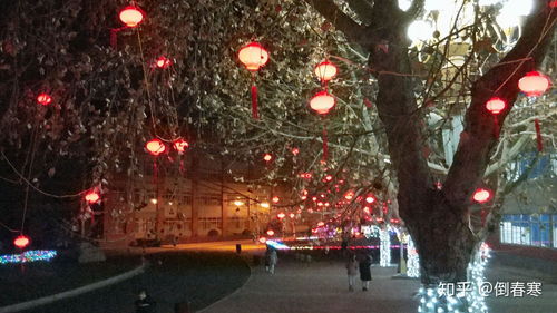 辽宁省大石桥市，东北明珠的工业重镇与文化瑰宝