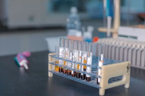 上海疫情新动态，本土确诊8例与无症状366例的背后故事