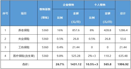 2021年社保缴费明细表，全面解析与操作指南