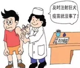 甲类传染病，了解、预防与应对