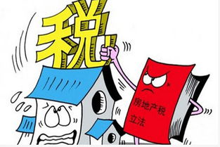 深入了解河道税税率，政策、影响与未来趋势