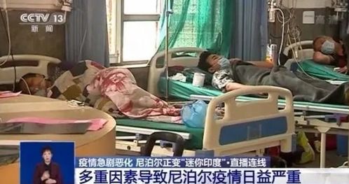 青岛疫情新动态，本土确诊激增41例，防控措施与公众应对策略