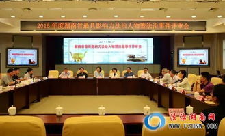 湖南司法厅，法治建设的先锋，公正司法的守护者