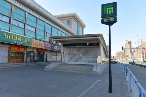 石家庄疫情新动态，新增48例确诊病例的深入解析与防控策略