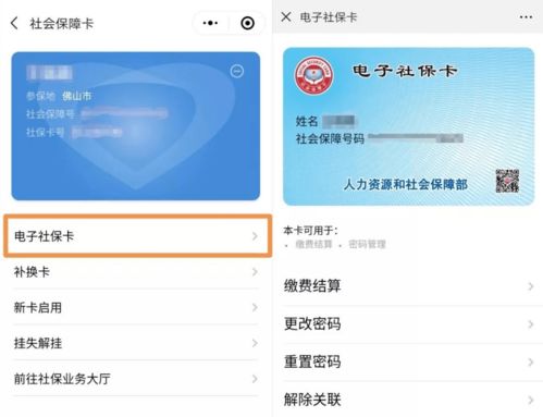 社保卡补办全攻略，丢失、损坏不再慌，一文教你轻松搞定