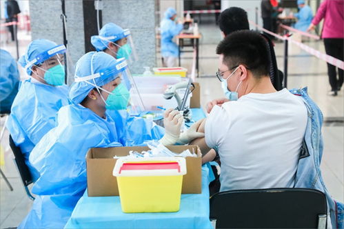 深圳今日疫情快讯，守护健康，共筑防线