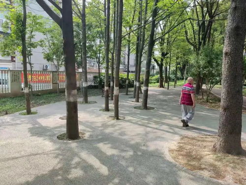 深圳今日疫情快讯，守护健康，共筑防线