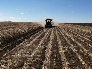 耕种未来，探索农业生产经营方式的变革之旅