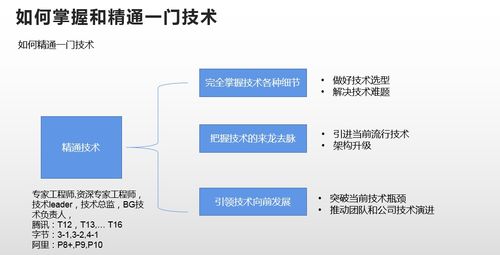 深入了解备案，含义、流程及重要性