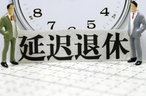 延迟退休时间表明确，影响、应对与未来展望