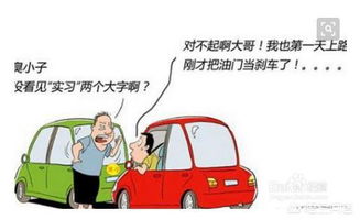 实习驾驶员的成长之路，安全驾驶与技能提升指南