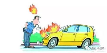 游客车停酒店被砸，如何预防和应对车辆安全问题