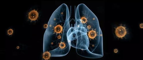 河北疫情新动态，新增本土12例的应对与预防