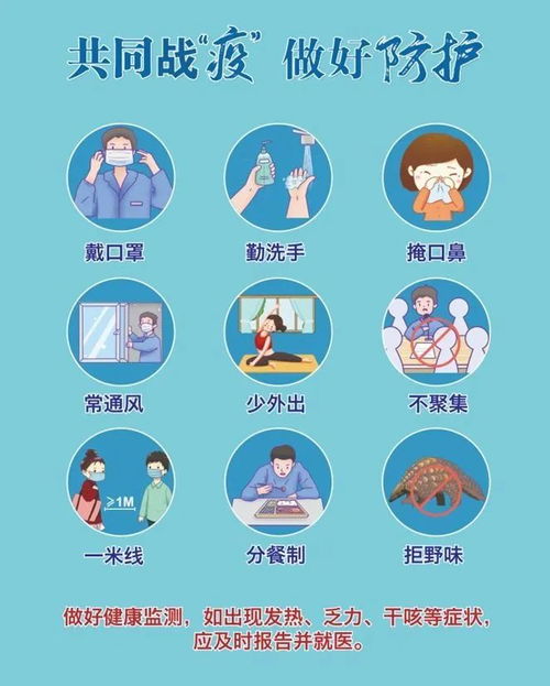 河北疫情新动态，新增本土12例的应对与预防