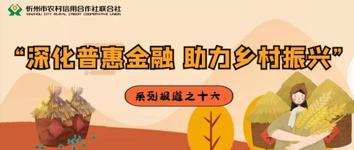 山东农村信用社贷款，助力乡村振兴的金融力量