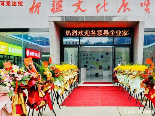 新疆新增，探索新疆的经济发展与文化融合