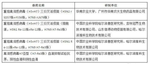 广东陆丰疫情，科学防控，确保不大规模扩散