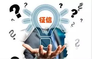 深入了解，哪些贷款会上征信系统