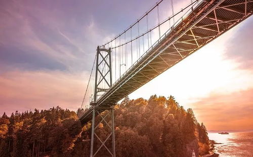 国家外专局，连接中国与世界的桥梁