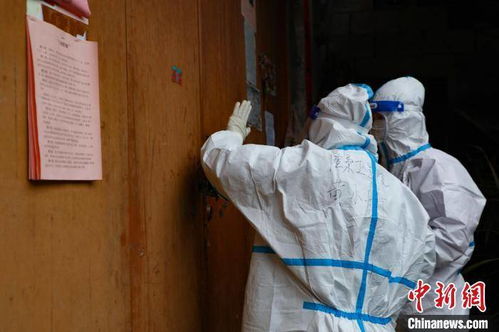 广西本土疫情现状，250例确诊背后的防控策略与公众应对