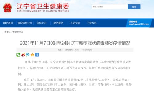 辽宁疫情新动态，20例本土确诊与12例无症状感染者的出现与应对策略