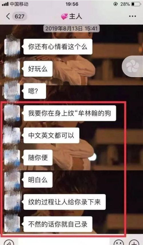 成人网络播放器，隐私、法律与道德的边界