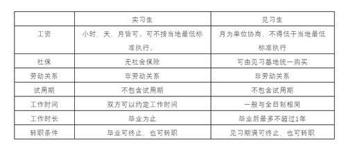 从实习生到正式员工，一份成功的转正申请报告指南