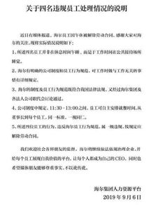 从实习生到正式员工，一份成功的转正申请报告指南