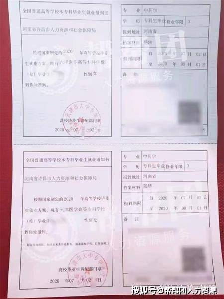 报到证丢失了怎么办？一份详尽的补救指南