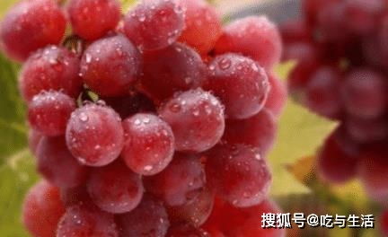 河北沧州一地调整为中风险，理解风险等级变化及其对日常生活的影响