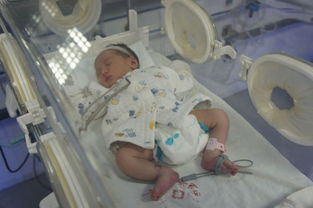 生命的遗弃与希望，新生女婴在厕所的惊心发现与社会反思