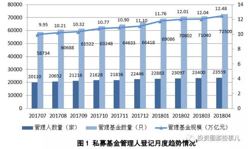 投资新视角，深入解析基金与股票的异同