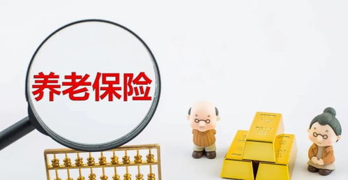 深入了解养老保险，咨询电话的实用指南