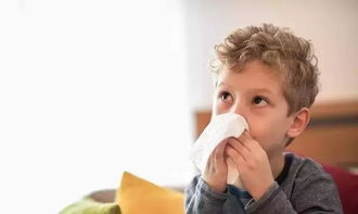 呼吸之痛，揭秘室内空气质量的真相与改善之道