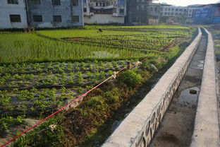 探索南京安怀村，历史与现代的交汇点