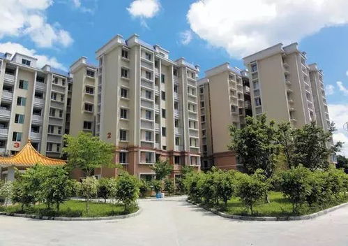 宣武区房屋出租市场洞察，机遇、挑战与租赁策略