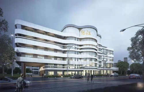 张江人才公寓，科技精英的栖息地，城市发展的新引擎