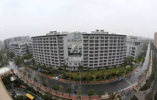 张江人才公寓，科技精英的栖息地，城市发展的新引擎