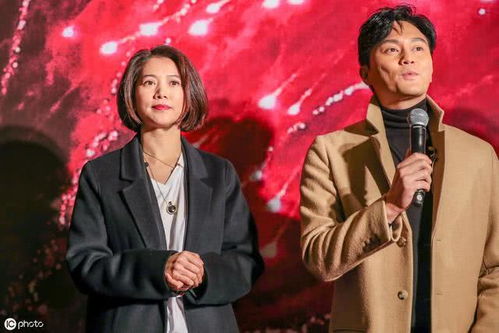 星光璀璨，袁咏仪与成龙的珍贵合照背后的故事