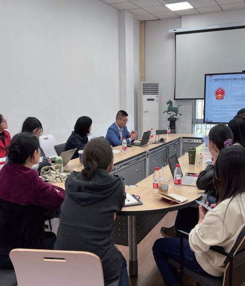 探索专利审查协作江苏中心，创新保护的桥梁