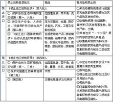 深入了解中国海关报关员考试，流程、要求及职业前景