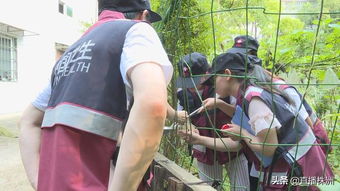 株洲疫情最新动态，了解、预防与应对