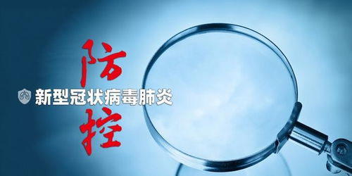 天津疫情最新动态，数据解读与防控措施解析