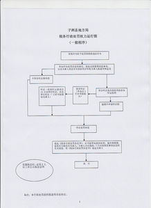 变更税务登记证，流程、注意事项与常见问题解析