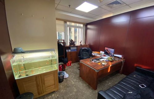 平舆房屋出租，如何轻松找到理想的家